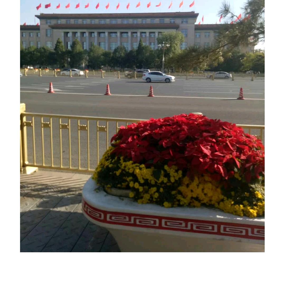 奋斗是为了生活更好。