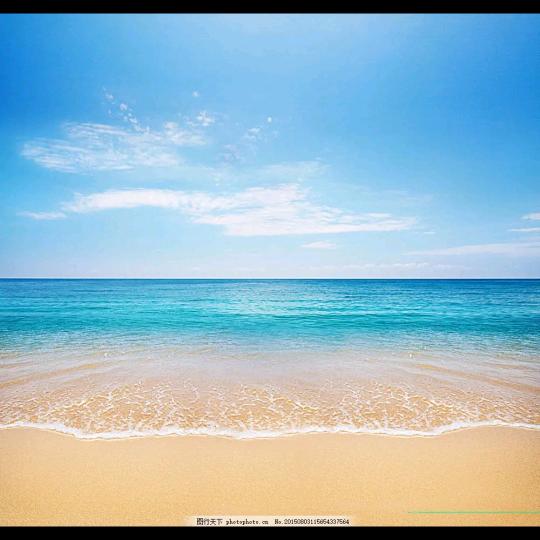 沧海