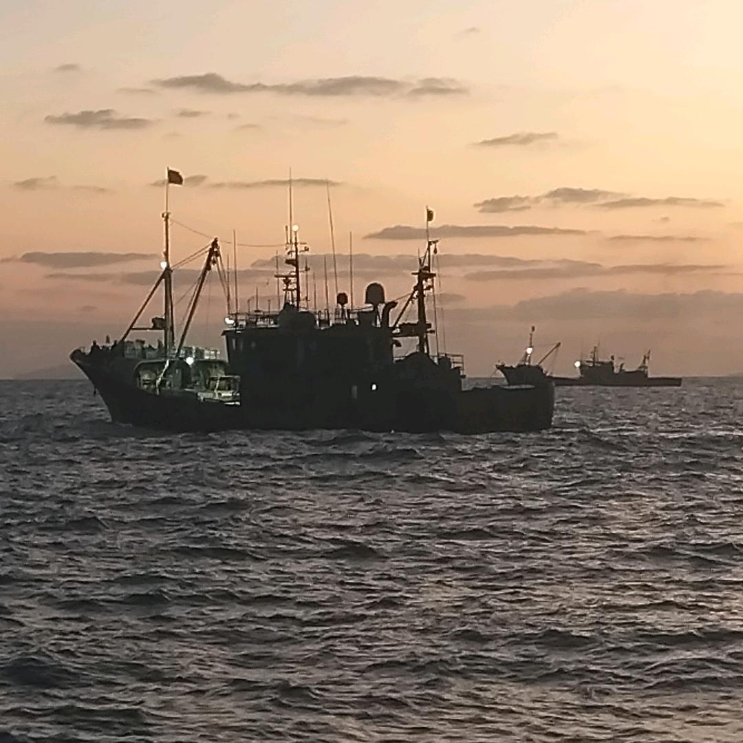 为家闯大海