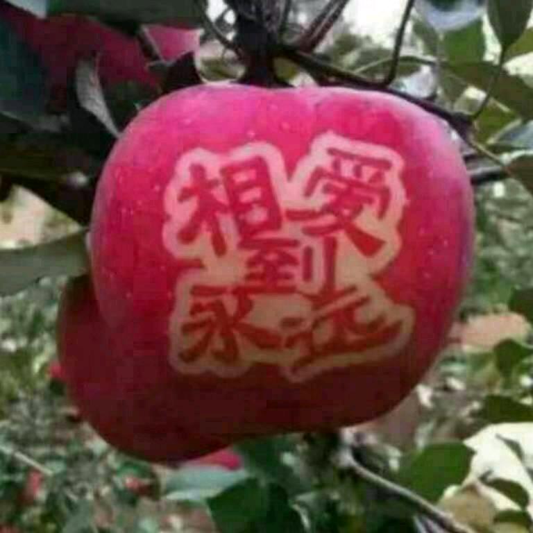 百福臻果