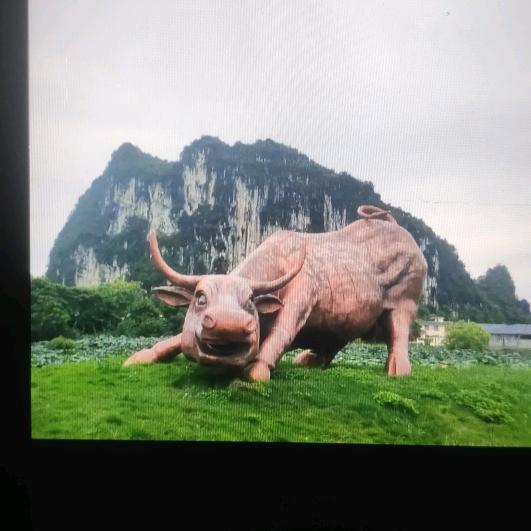 爱唱歌的卡车司机