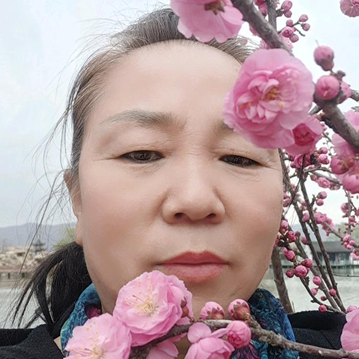 用户胡凤萍