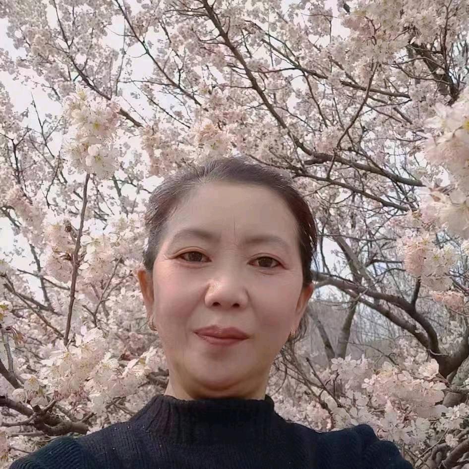 白家姑娘