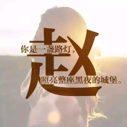 赵财猫