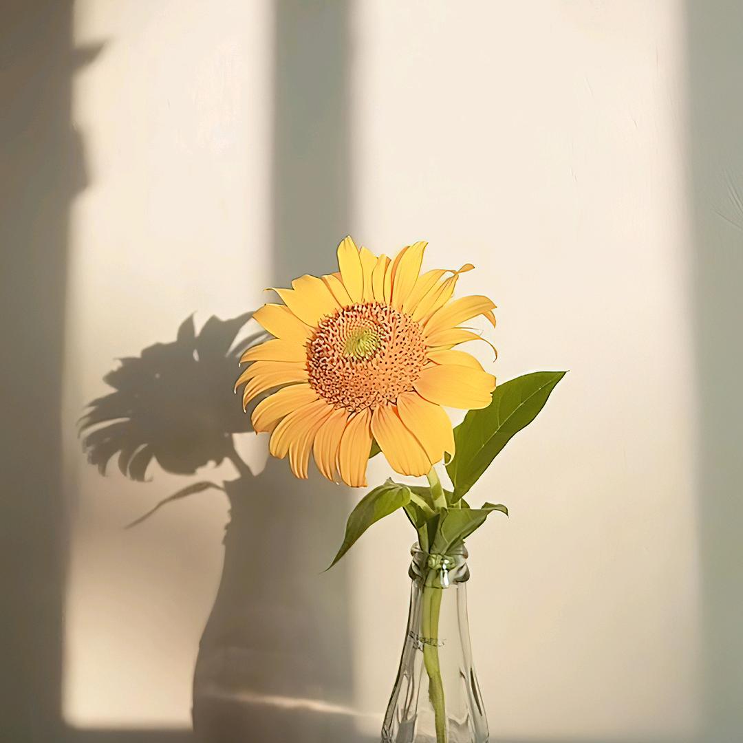 祥德图文店广州倍惠梦一直播号