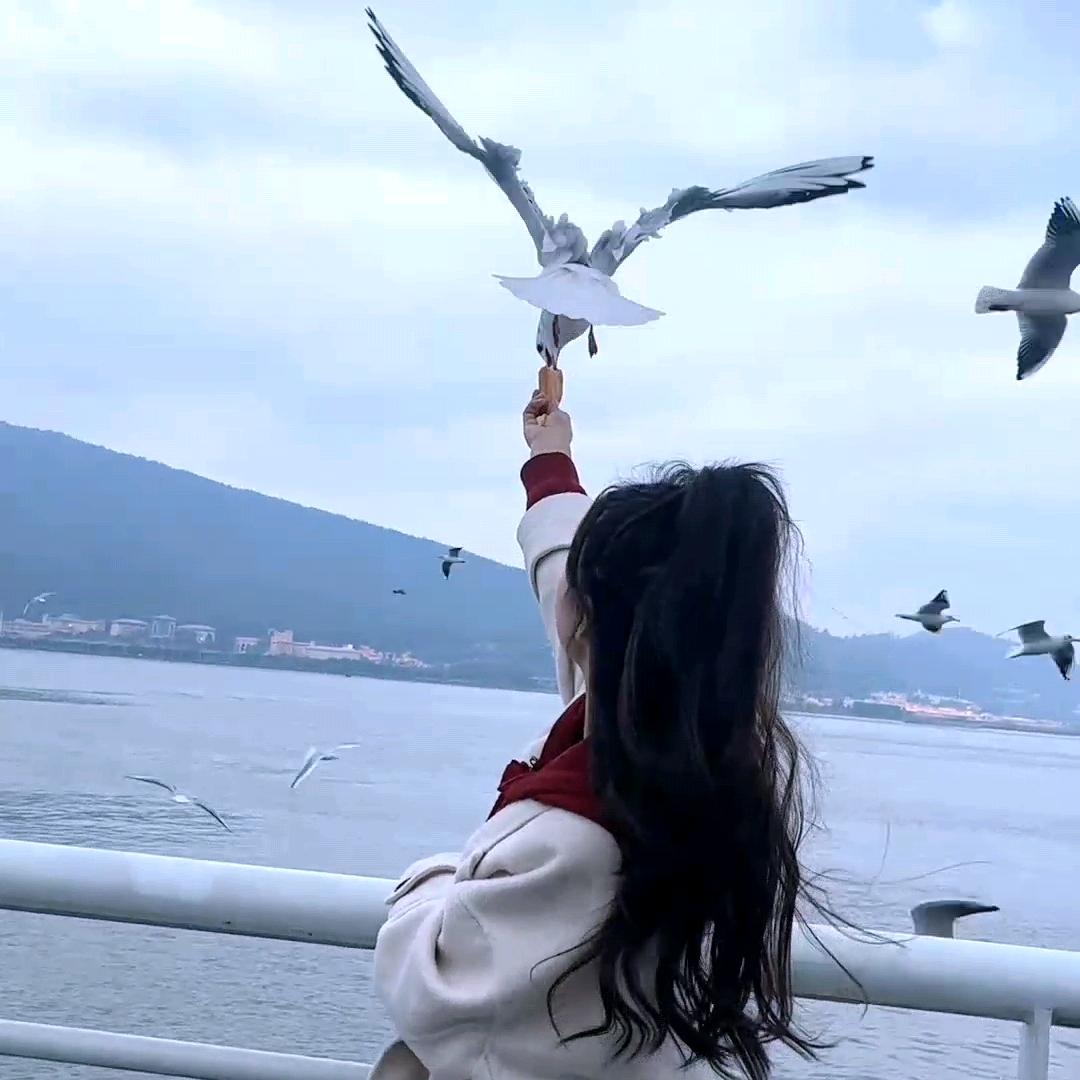 龙