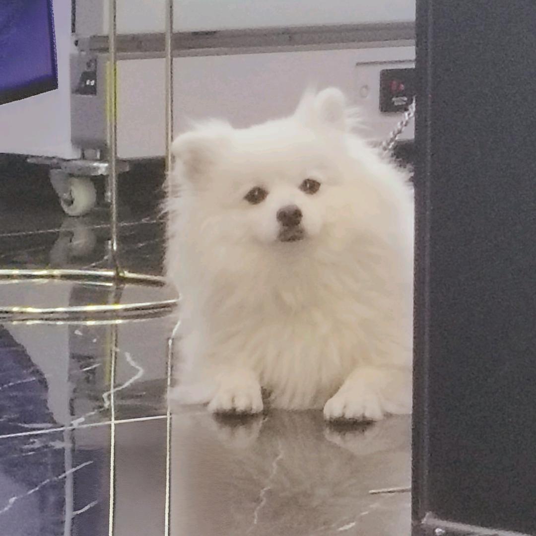 我嘞个豆
