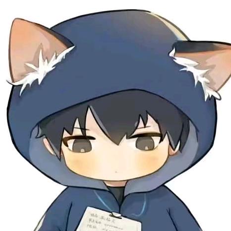 二次元磕代表