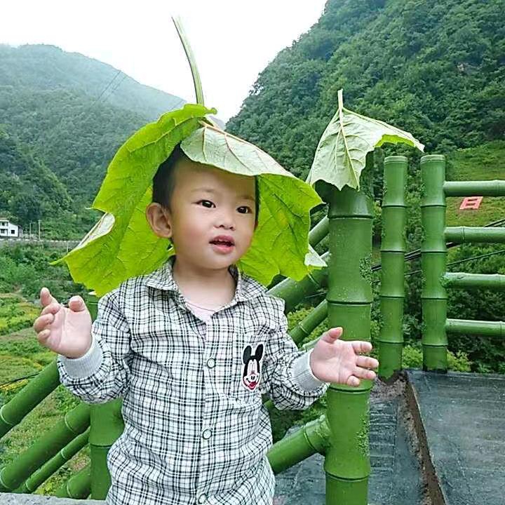 发成哥