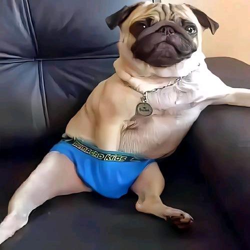 假玲