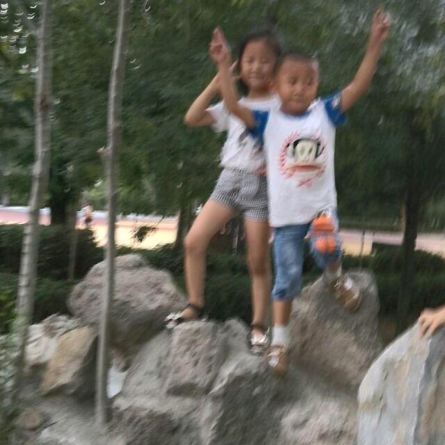 飞龙在天🐉