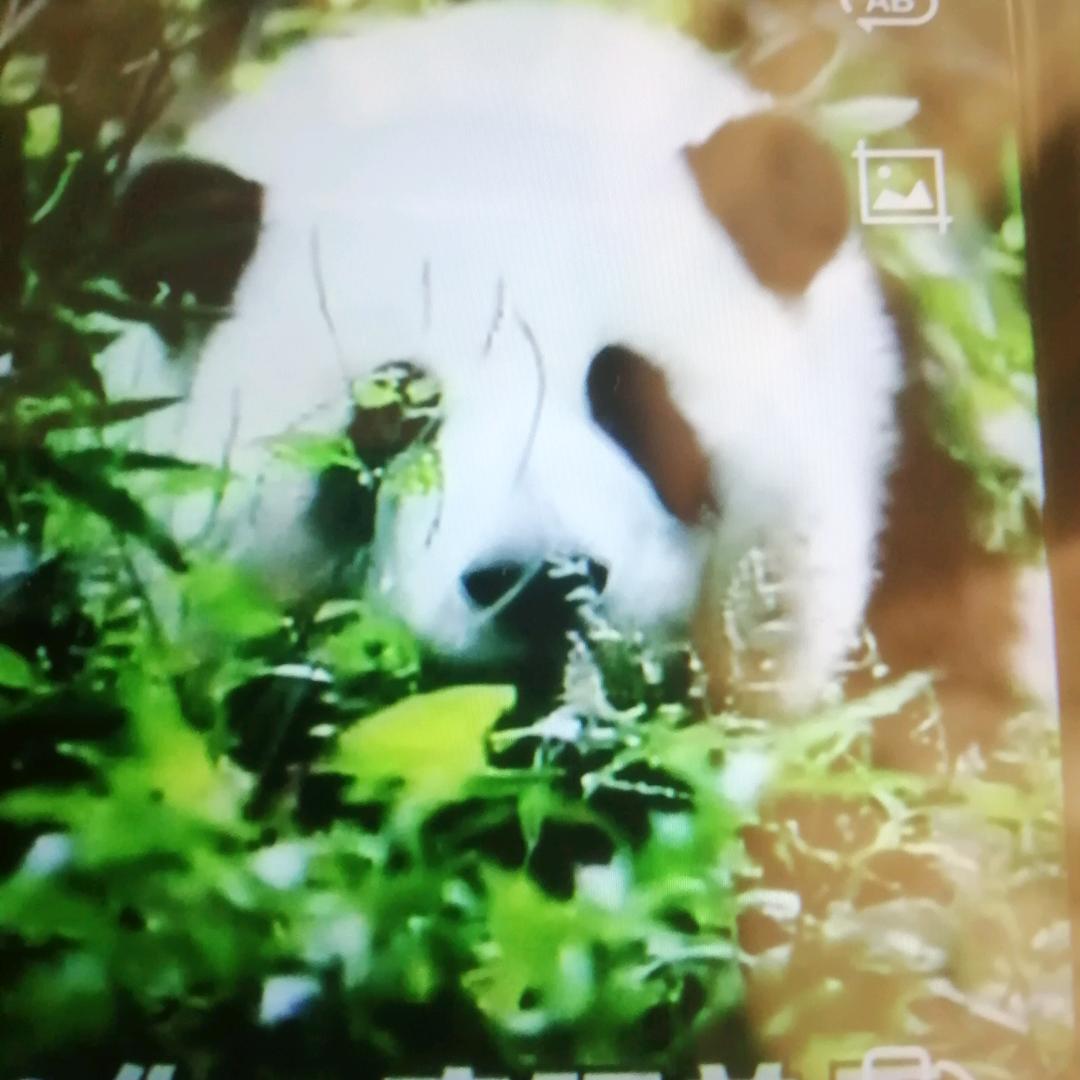 冬天。