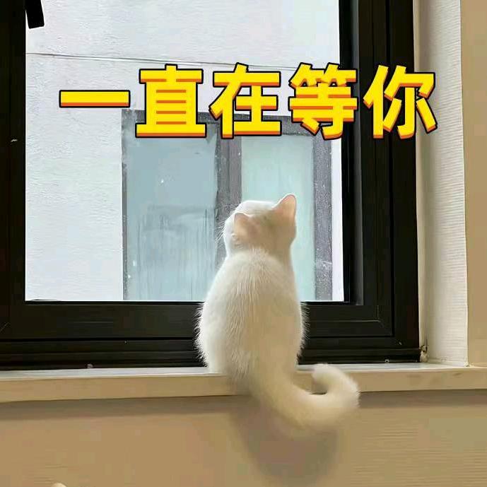 🌈良良在日本