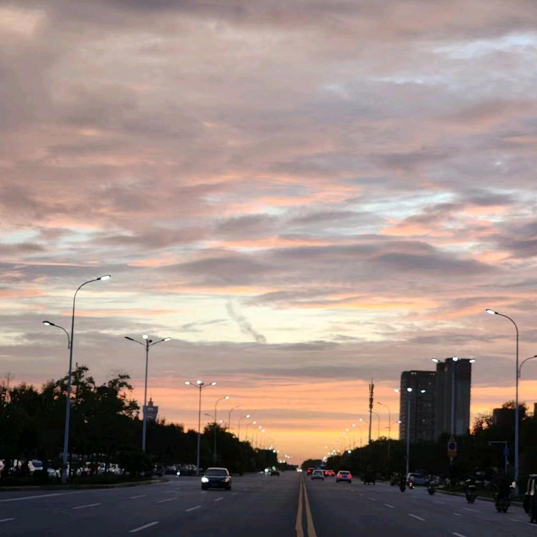 啧啧的养生日记