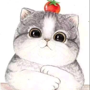 爱打字的树木皮皮