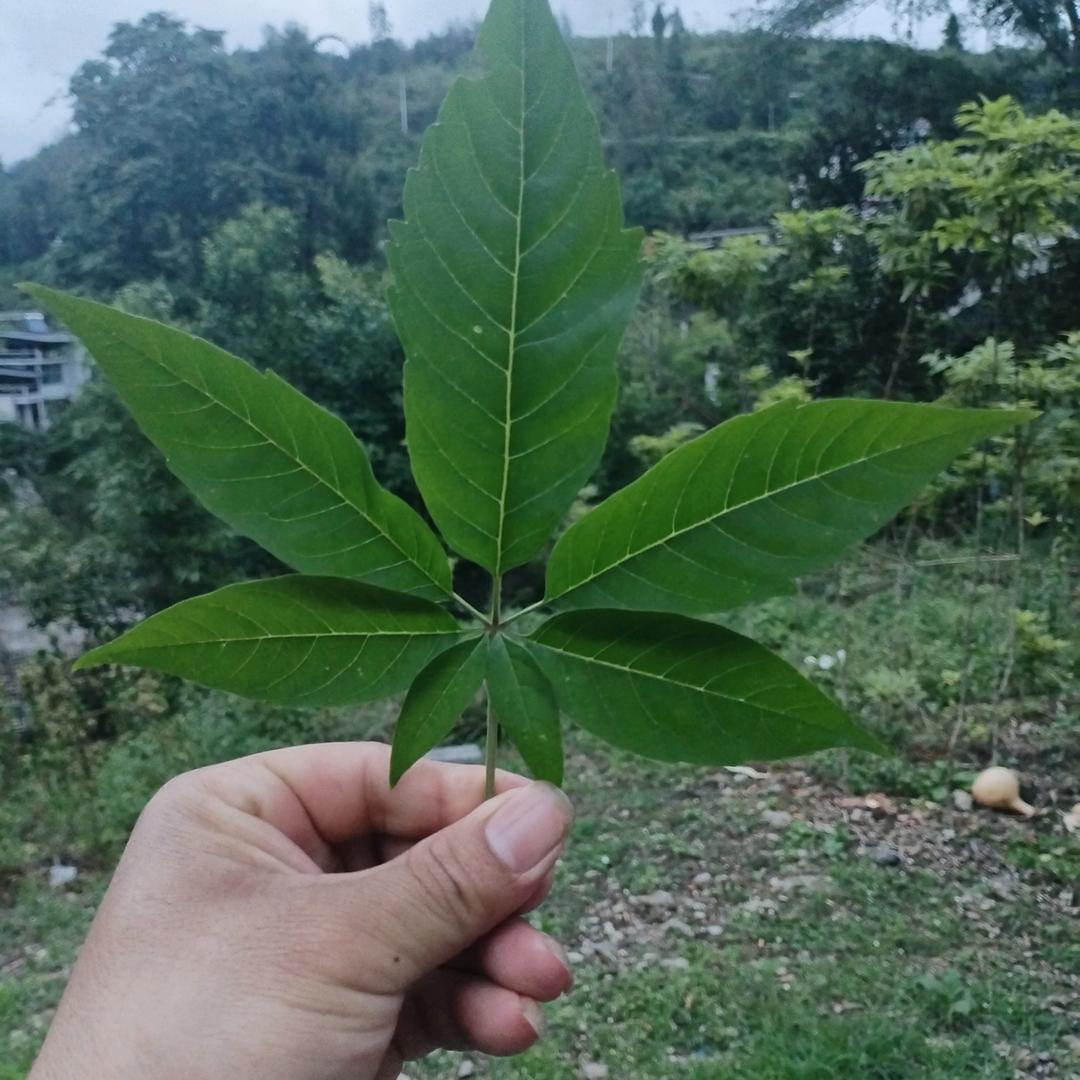 品德你我