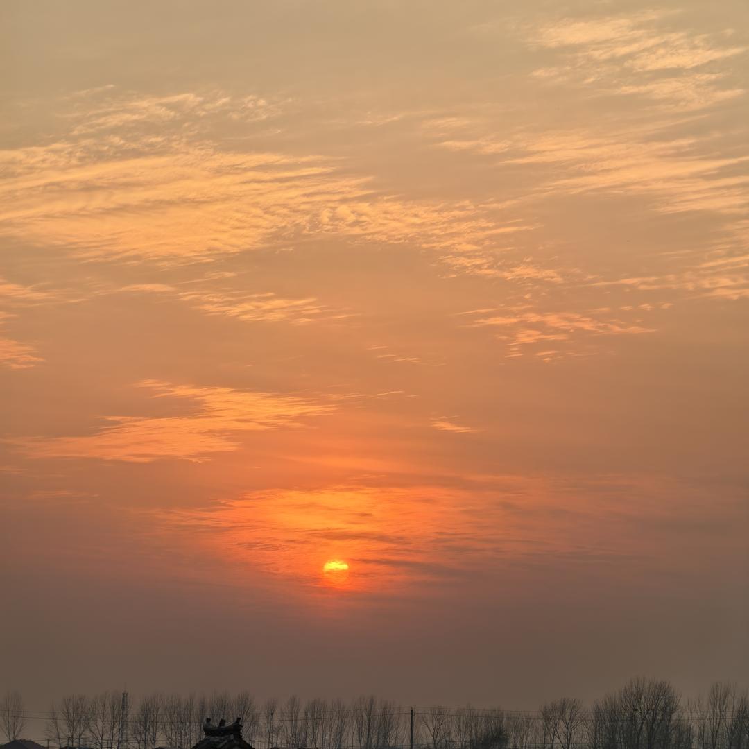 跟着国家混，三天饱九顿🤗