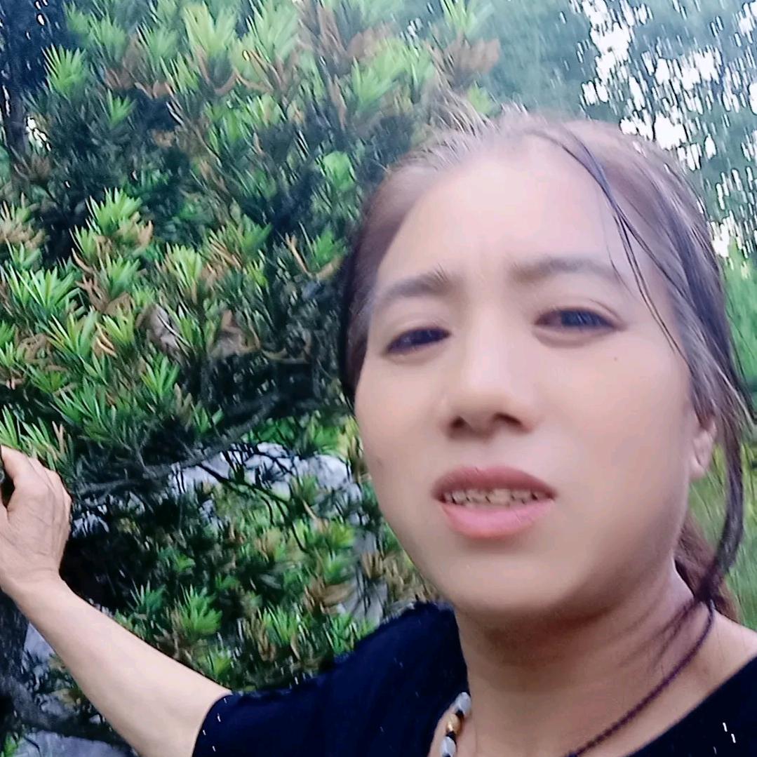 刘基琴