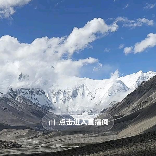 何姐开心每一天