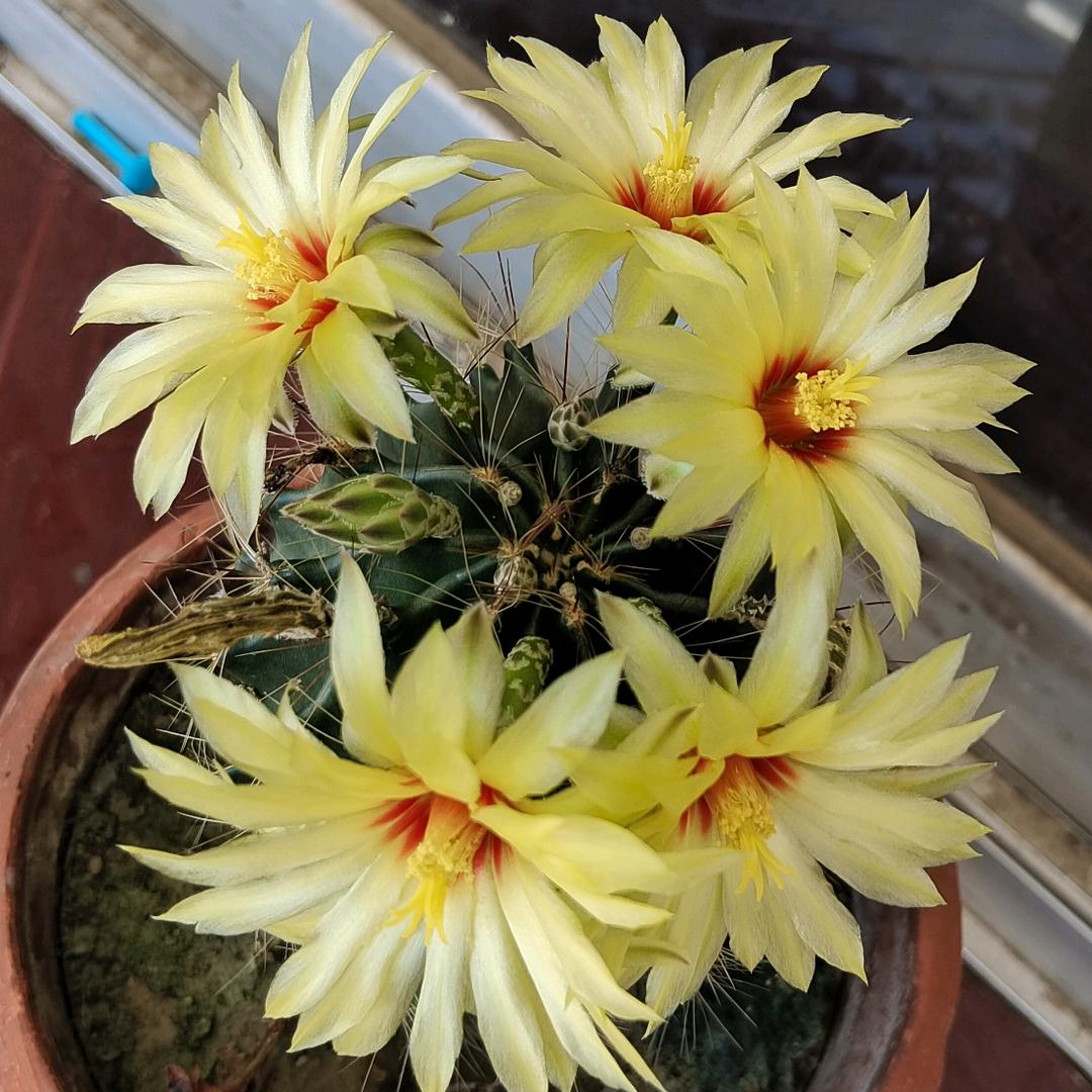 岁月无  痕