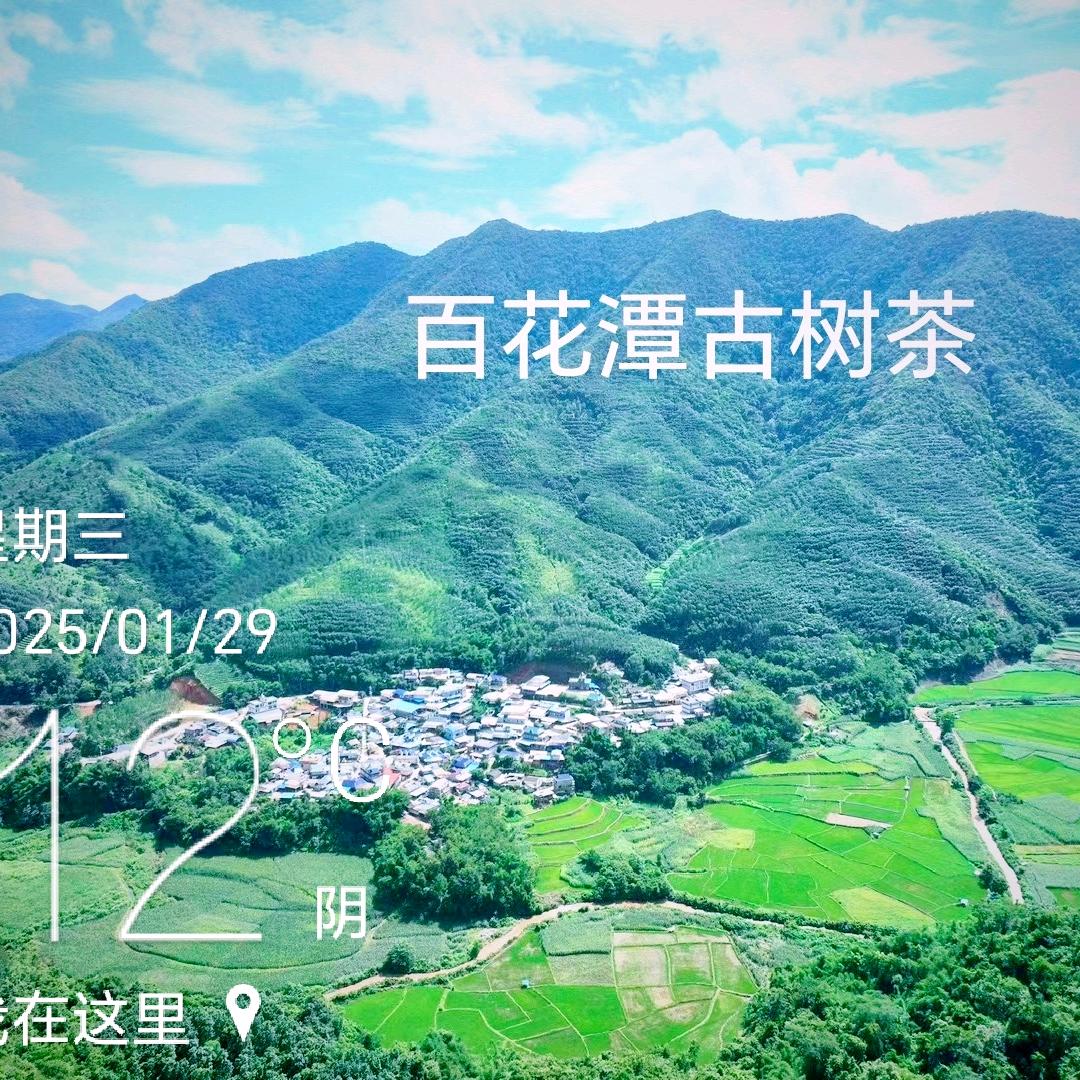 勐腊县元华106茶厂