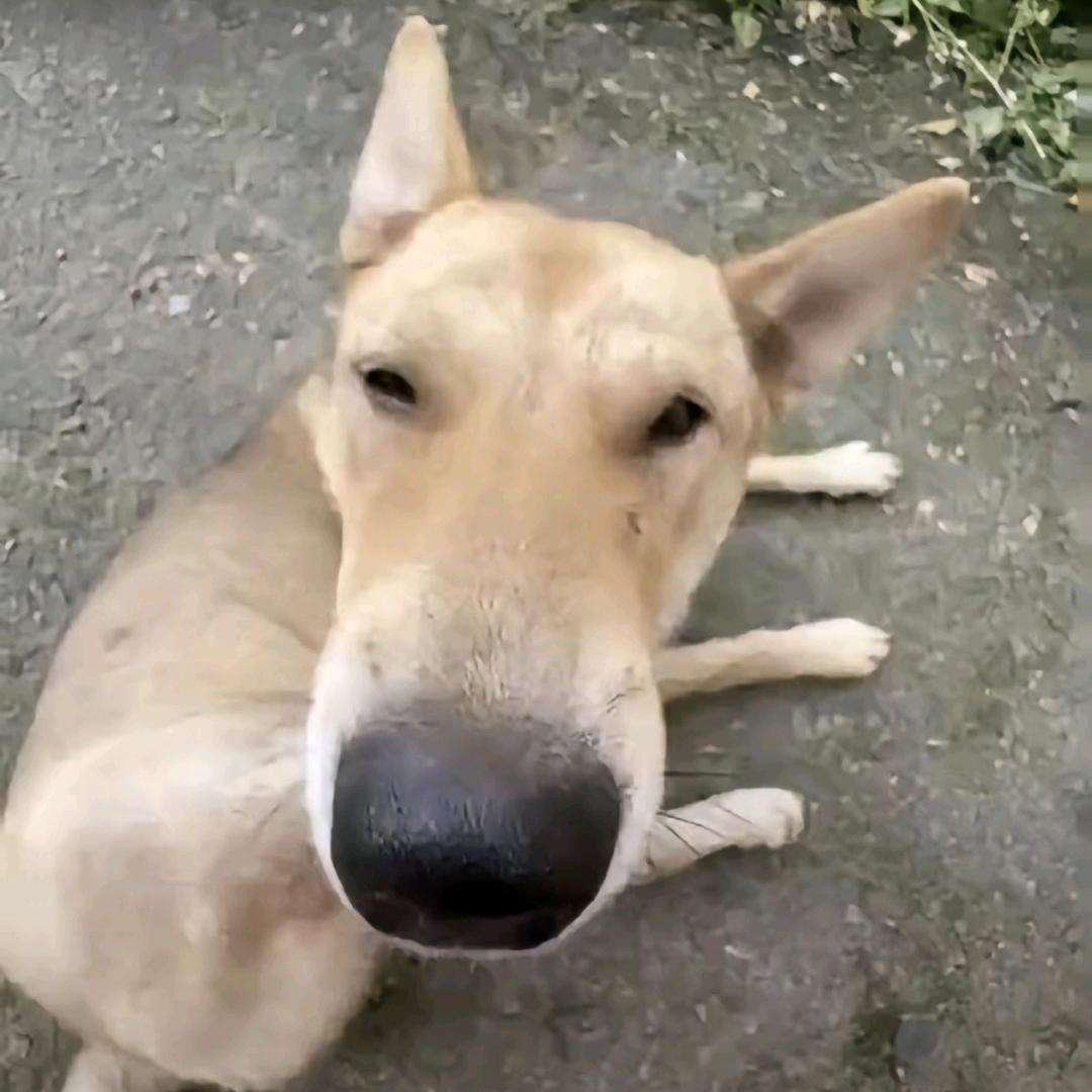 😴