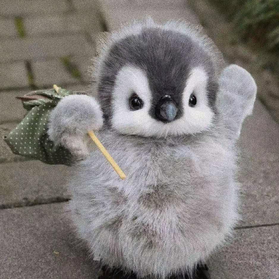 花欲