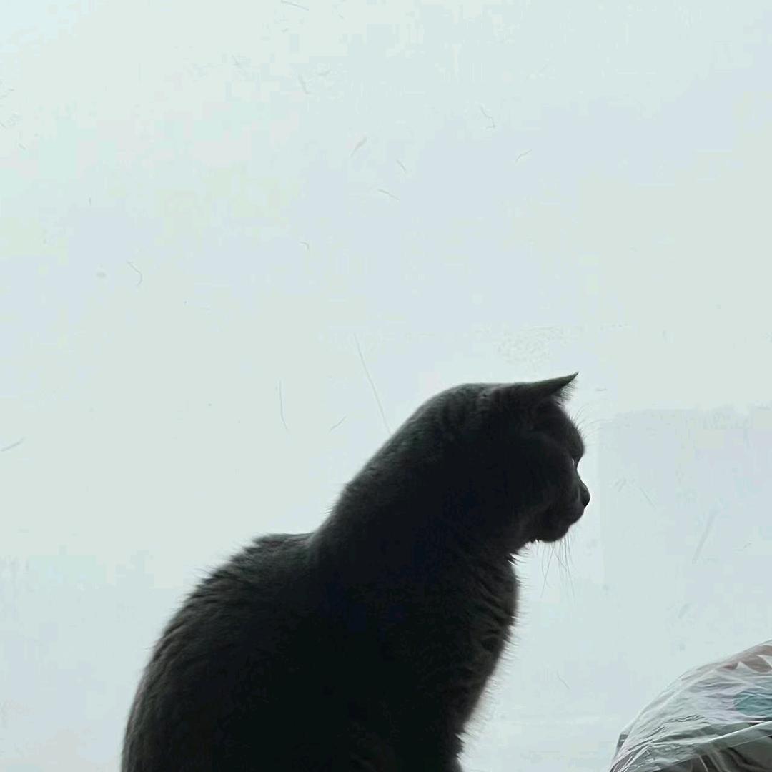 🌈X71