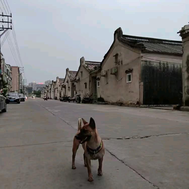 小鱼儿❤ (ɔˆз(ˆ⌣ˆc)