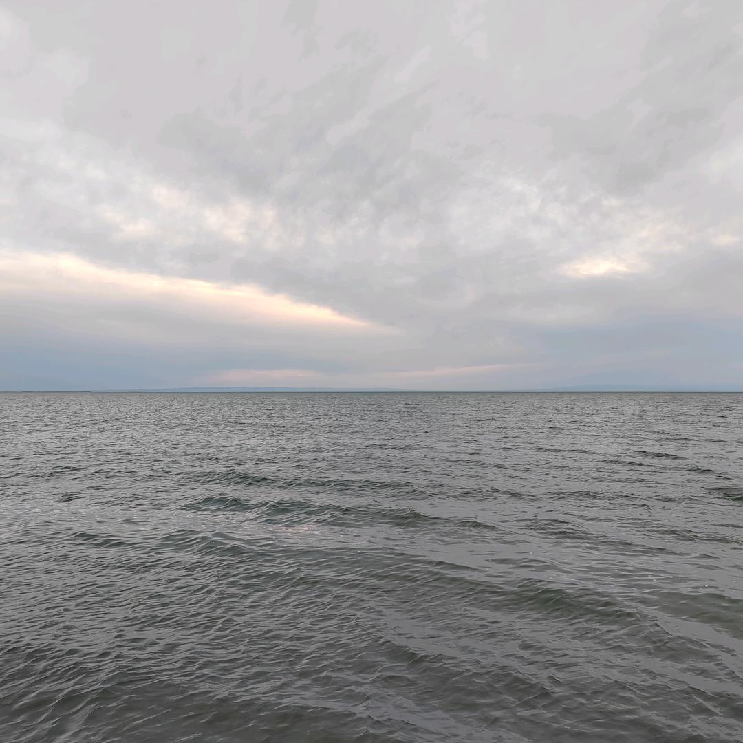 爱吃烩面的姑姑