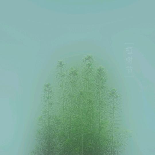 一生有你真好