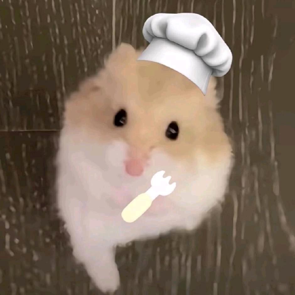 呆呆鼠