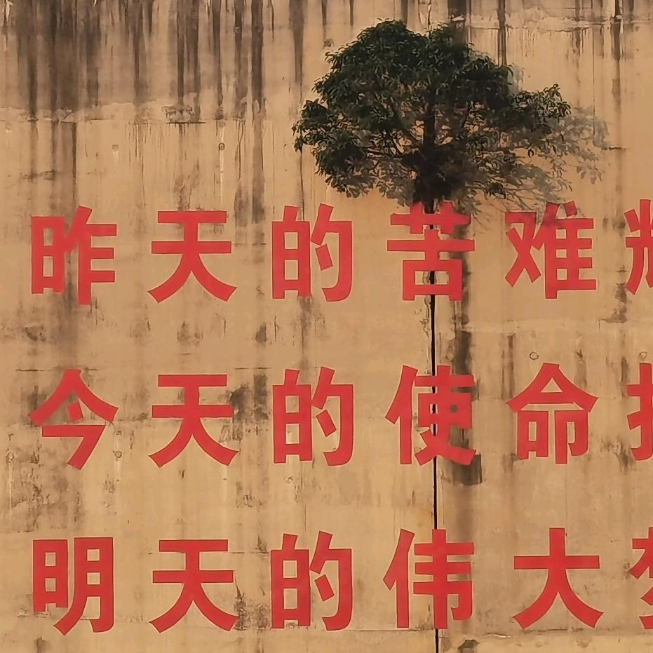 人生短短，开心过好每一天