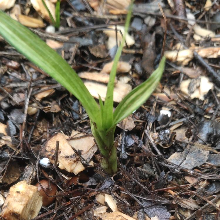 @盈瑞（资源优选）