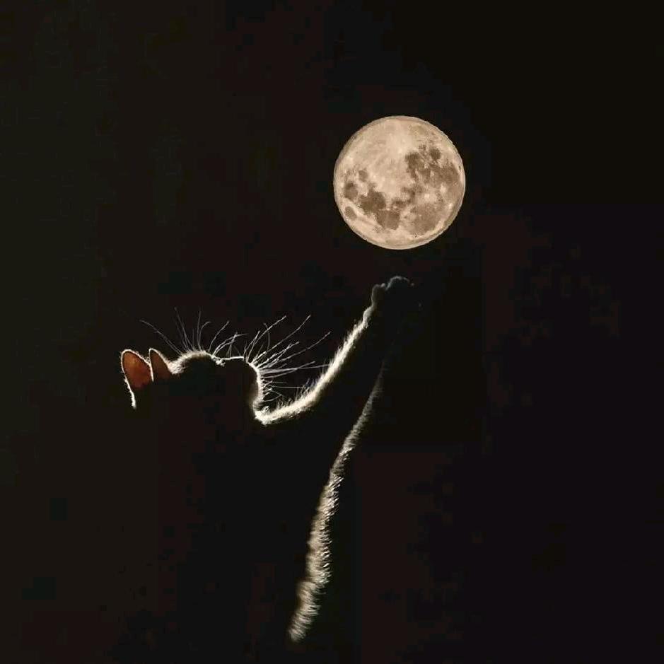 归梦
