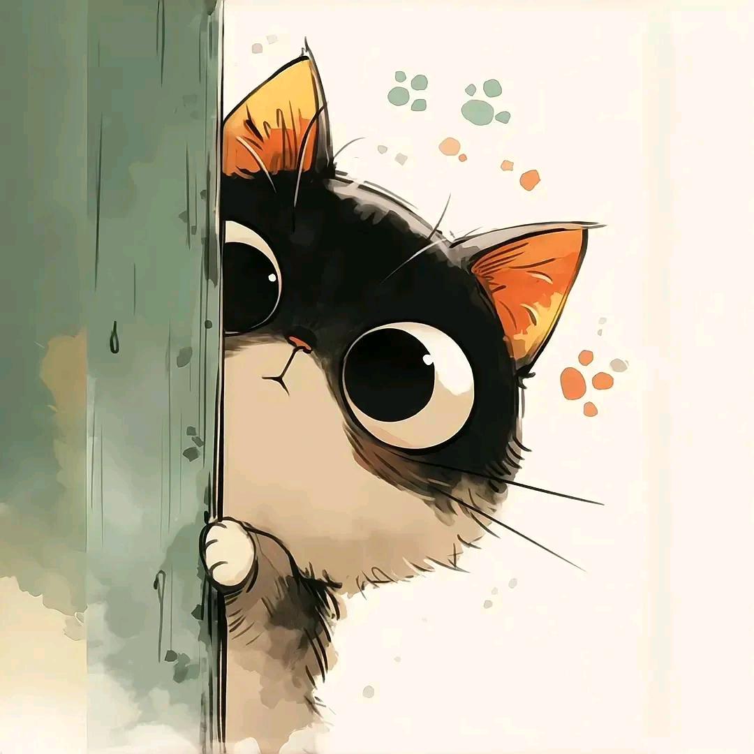 艾菇凉~☔