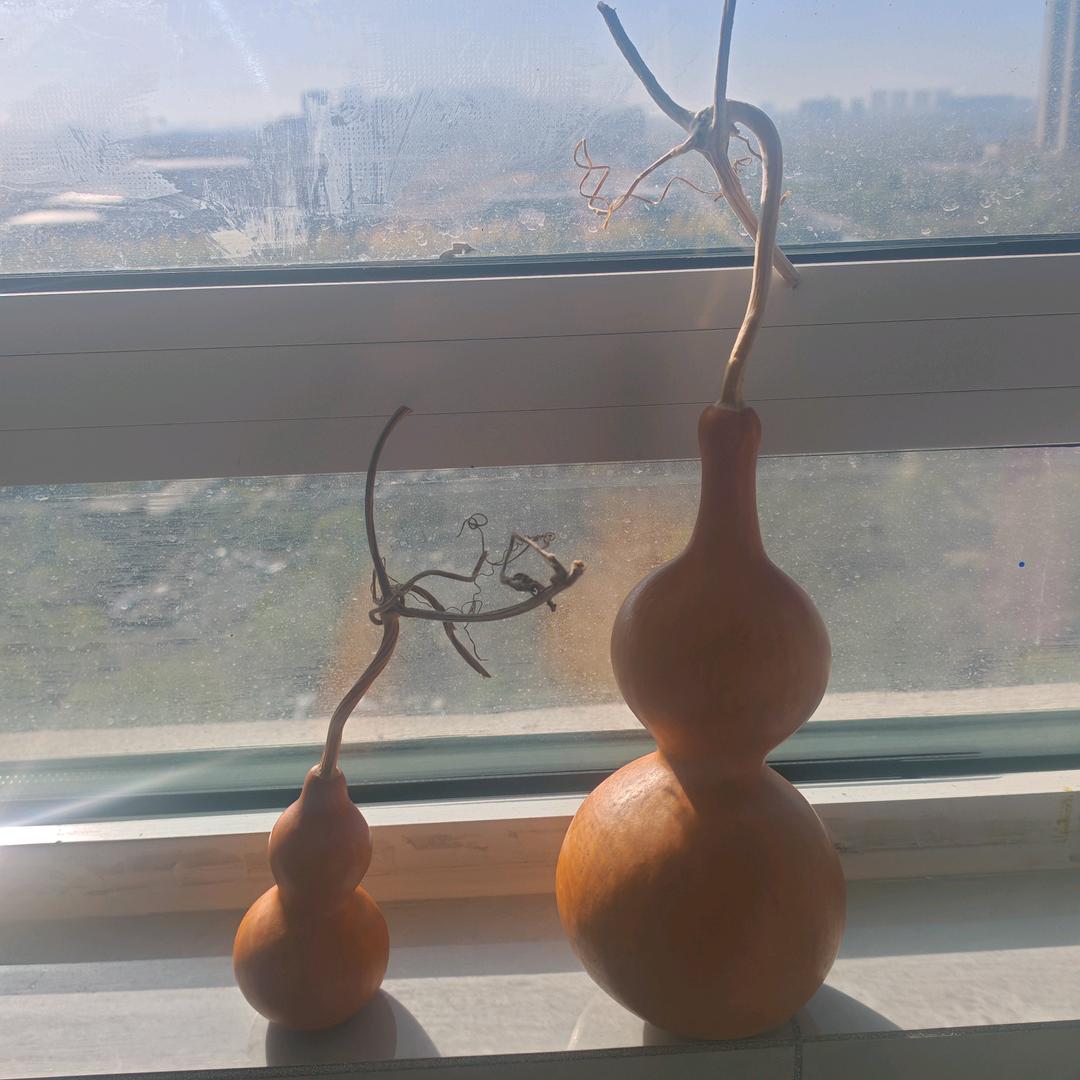 吊车出租丁志晨