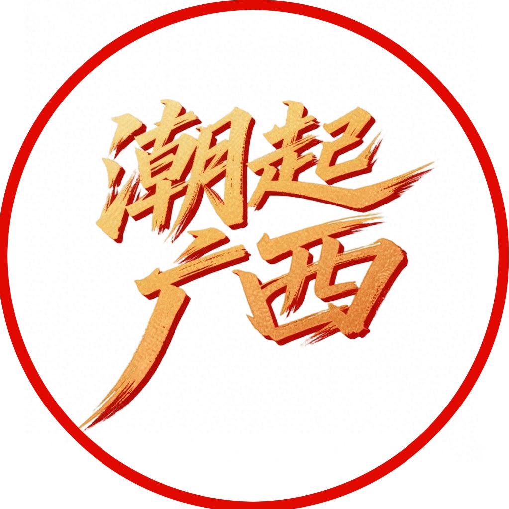 潮起广西·新势力