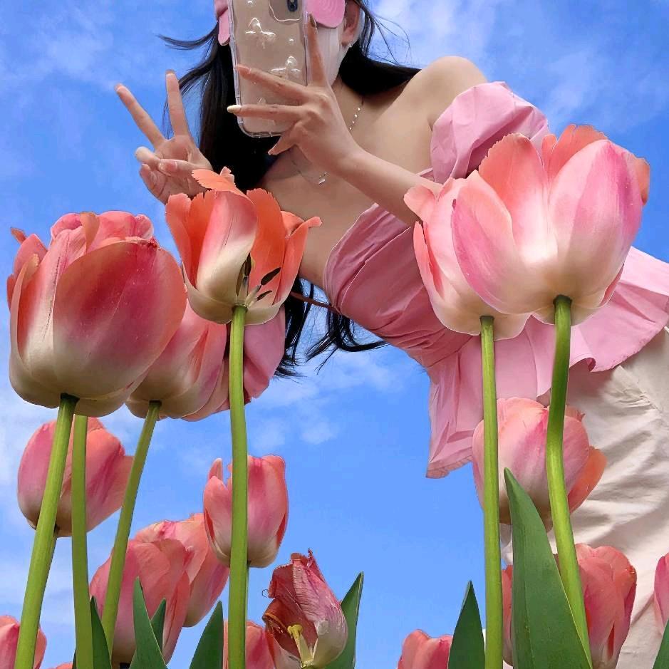 莫南莫北