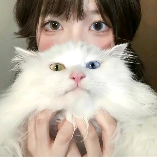 不靠谱小狗1230