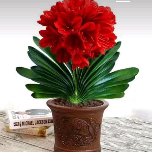 微笑对待每一缕阳光