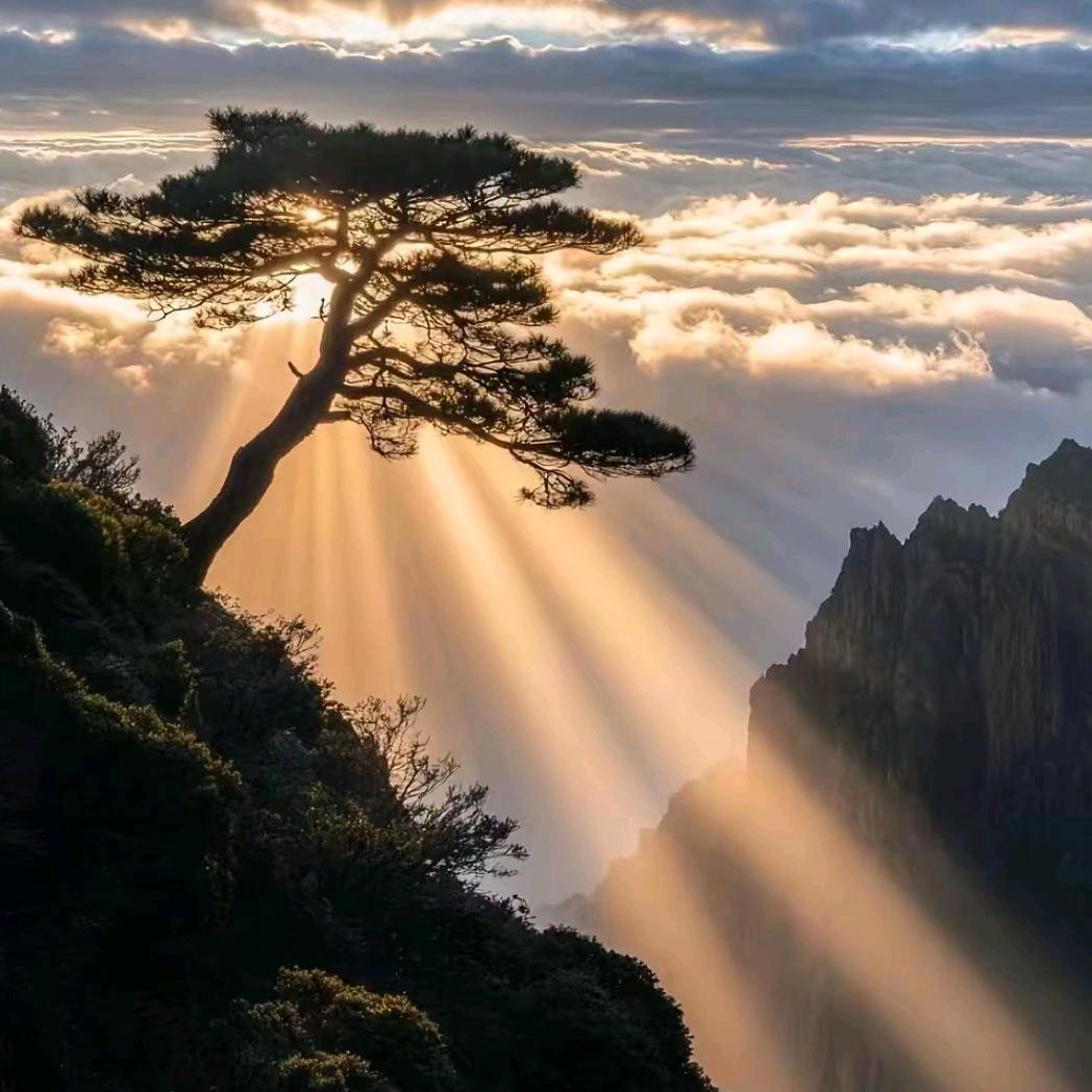 墨烟雨巷