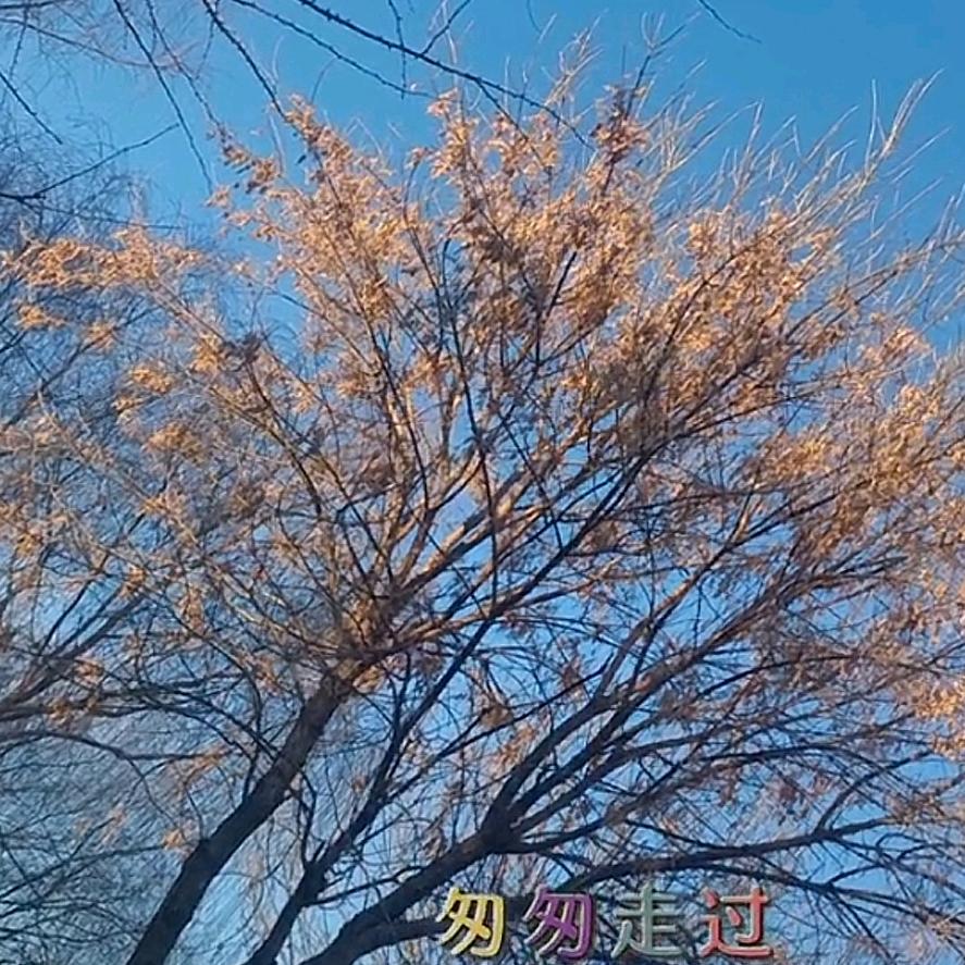 一切从今天开始
