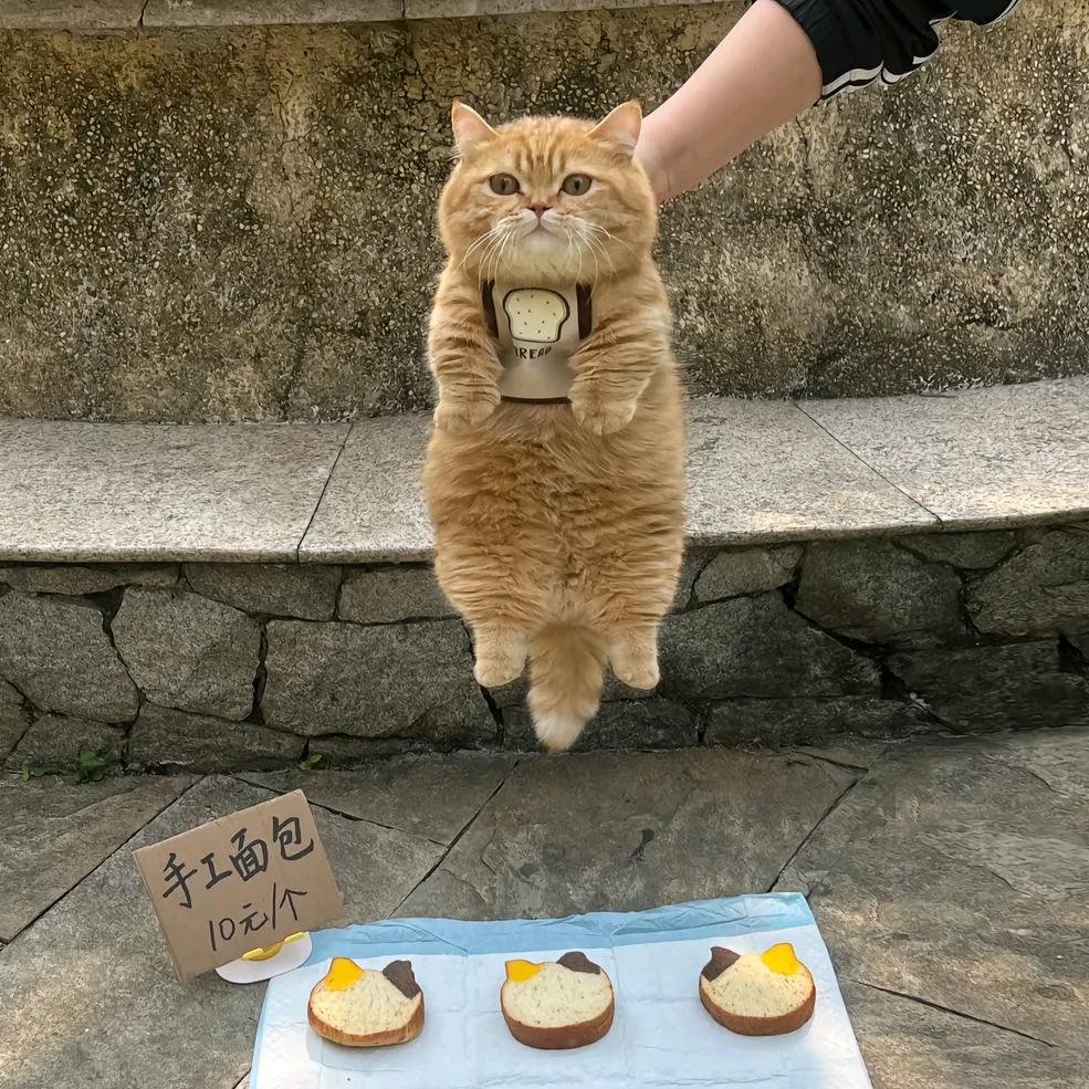 一三四二五四七