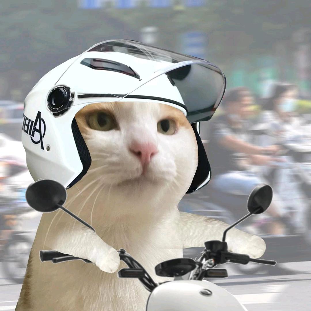 悲伤打工me