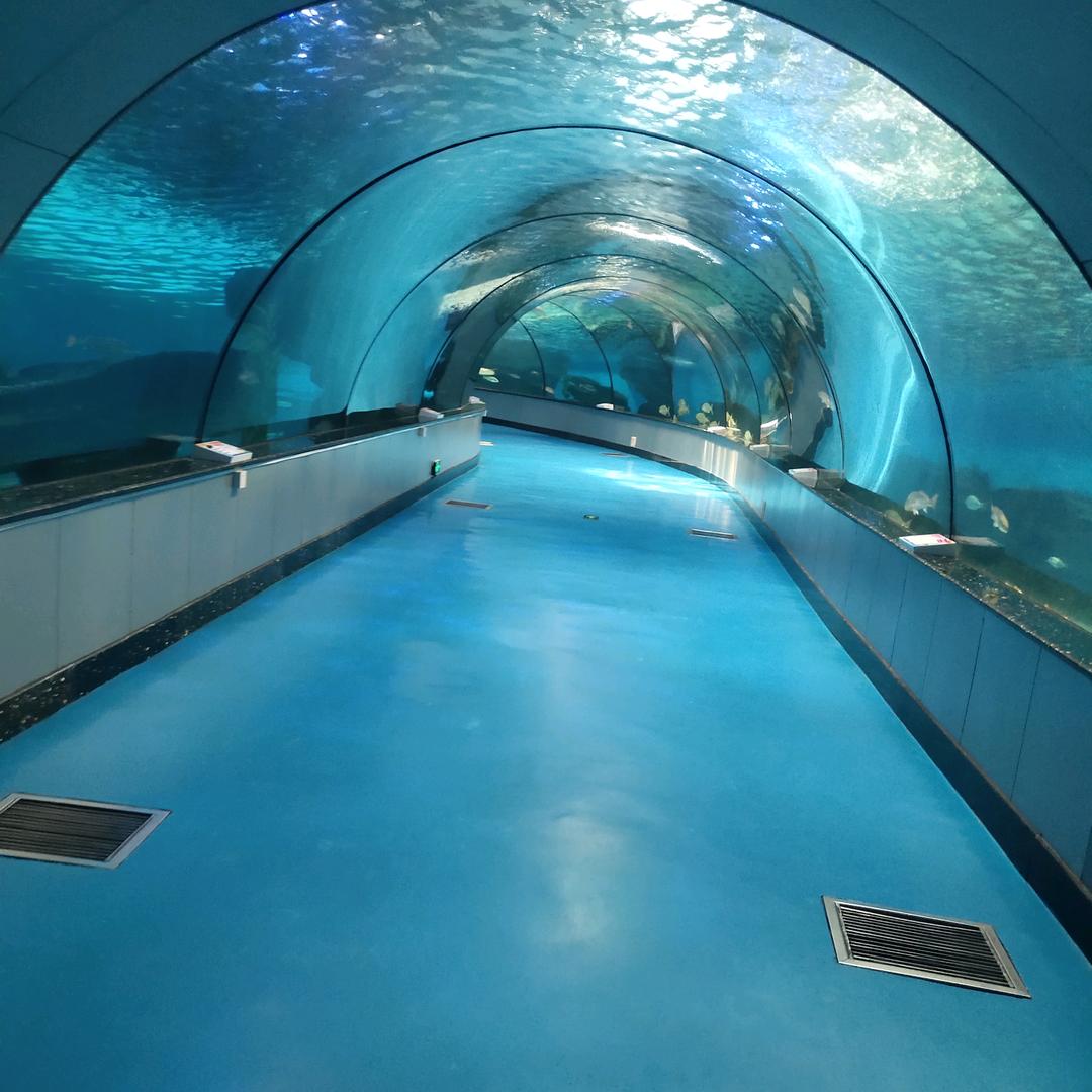 浩浩