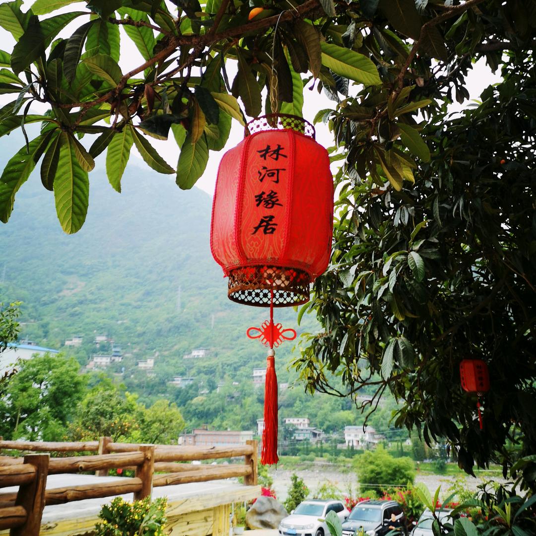 金口河林河缘居民宿酒店
