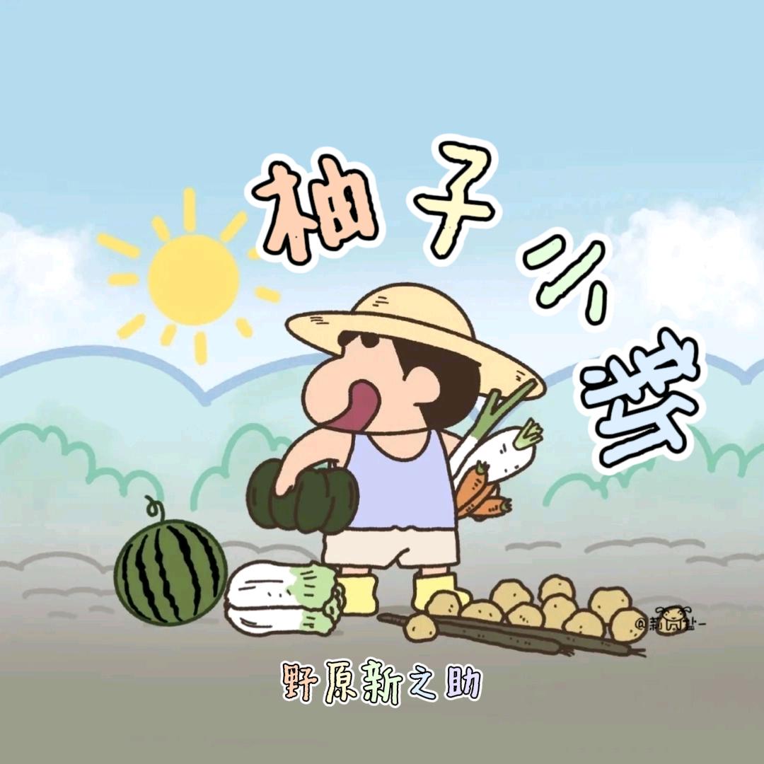 柚子小新