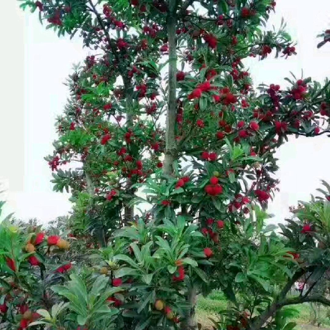 我的女人我的王ｸﾞｯ!(๑•̀ㅂ•́)و