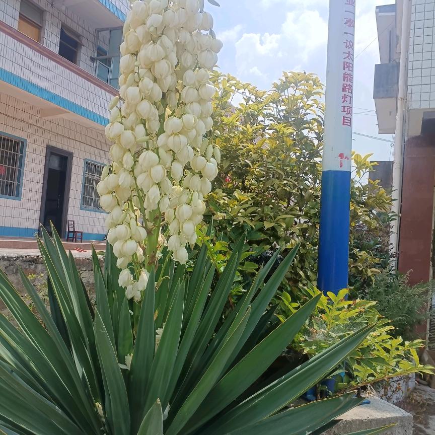 万军坊